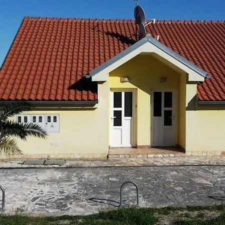 Away From - Pasman Tkon