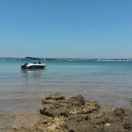 Away From - Pasman Tkon